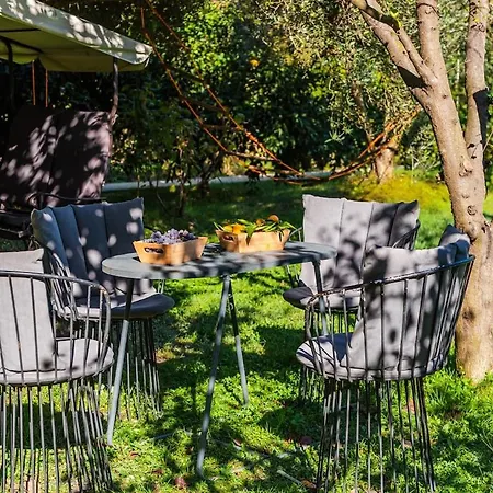 Ferma Gold Double By Pikhost アパート ティラナ