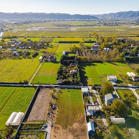 Ferma Gold Double By Pikhost Daire *