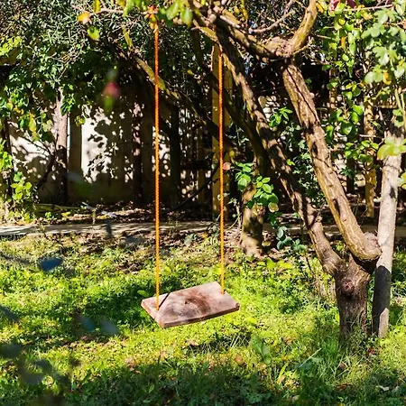 Ferma Gold Double By Pikhost Daire *