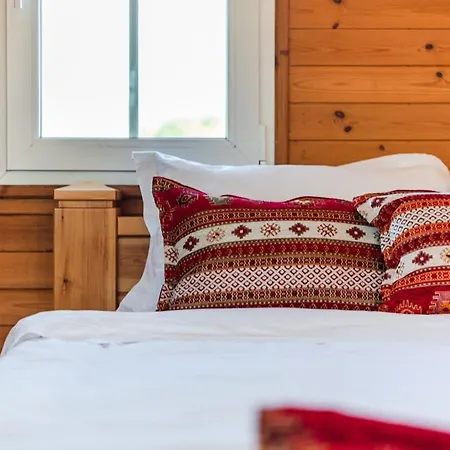 Ferma Gold Double By Pikhost Daire