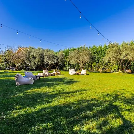 Ferma Gold Double By Pikhost アパート