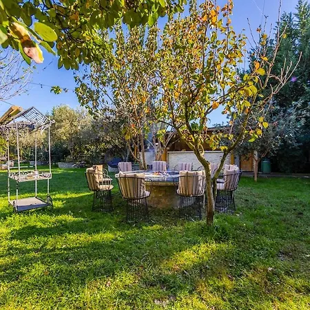 Daire Ferma Gold Double By Pikhost