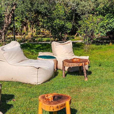 Ferma Gold Double By Pikhost Tiran