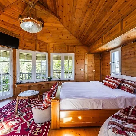 Daire Ferma Gold Double By Pikhost Tiran