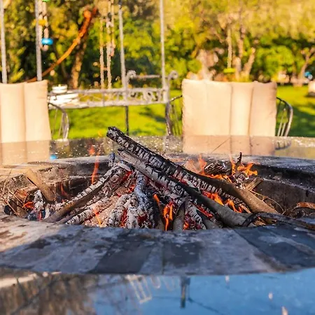 Ferma Gold Double By Pikhost Daire Tiran