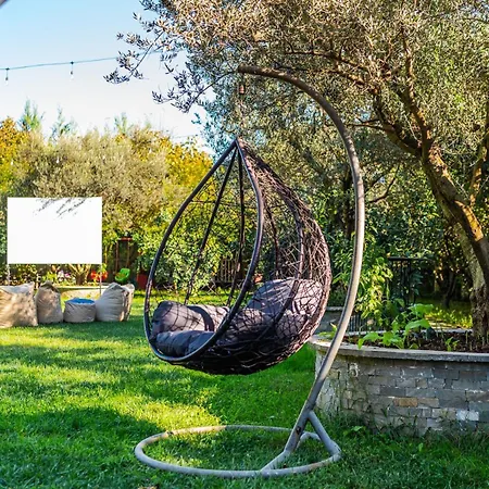 Ferma Gold Double By Pikhost Daire Tiran