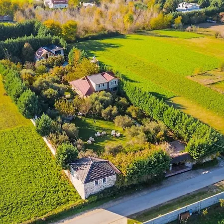 Daire Ferma Gold Double By Pikhost