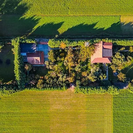 Ferma Gold Double By Pikhost Tirana