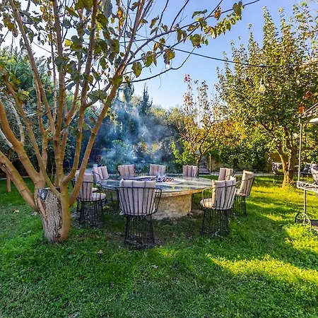 Apartament Ferma Gold Double By Pikhost Tirana