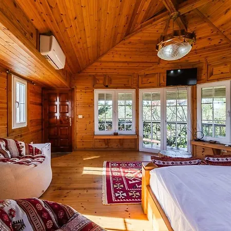 Ferma Gold Double By Pikhost * تيرانا