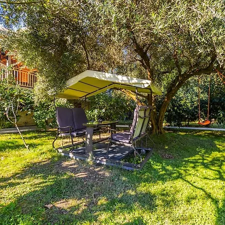 Ferma Gold Double By Pikhost * تيرانا