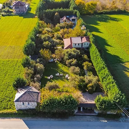 Ferma Gold Double By Pikhost *