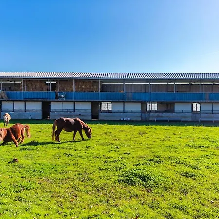 شقة Ferma Gold Double By Pikhost