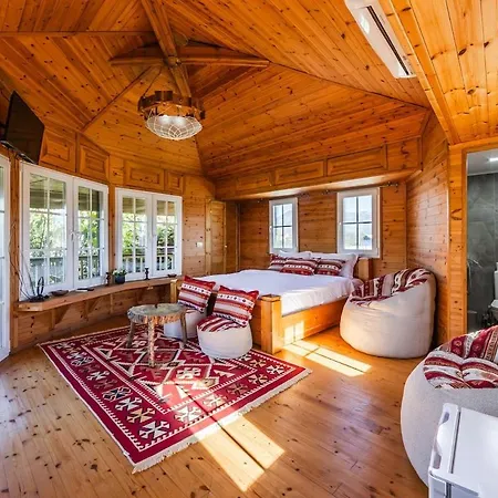 Ferma Gold Double By Pikhost تيرانا